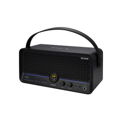 MOOER F40I 40W NOIR
