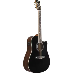 IBANEZ AW391RCEBKH DREADNOUGHT BLACK TOP