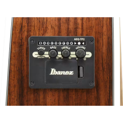 IBANEZ AW391RCEBKH DREADNOUGHT BLACK TOP