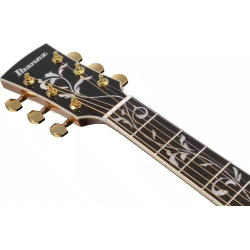 IBANEZ AW391RCEBKH DREADNOUGHT BLACK TOP