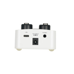 MOOER LOOPER GL100