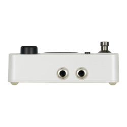 MOOER LOOPER GL100