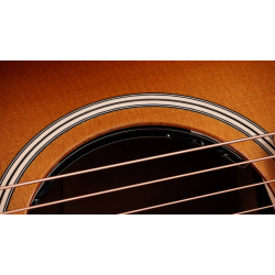 TAYLOR GOLD LABEL 512E SPECIAL EDITION BEN HARPER