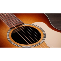 TAYLOR GOLD LABEL 512E SPECIAL EDITION BEN HARPER