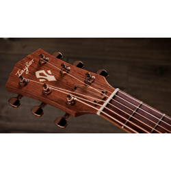 TAYLOR GOLD LABEL 512E SPECIAL EDITION BEN HARPER