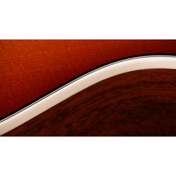 TAYLOR GOLD LABEL 512E SPECIAL EDITION BEN HARPER