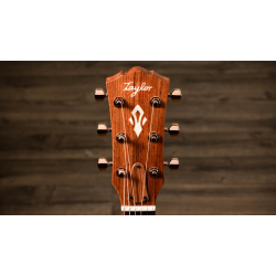 TAYLOR GOLD LABEL 512E SPECIAL EDITION BEN HARPER