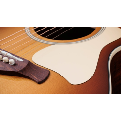 TAYLOR GOLD LABEL 512E SPECIAL EDITION BEN HARPER