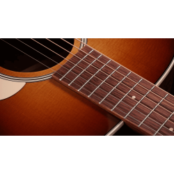 TAYLOR GOLD LABEL 512E SPECIAL EDITION BEN HARPER