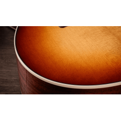 TAYLOR GOLD LABEL 512E SPECIAL EDITION BEN HARPER