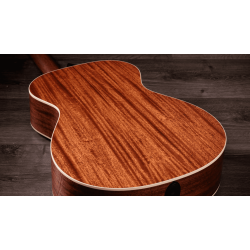 TAYLOR GOLD LABEL 512E SPECIAL EDITION BEN HARPER