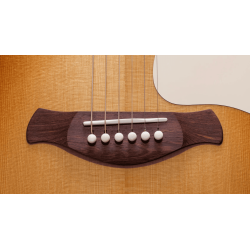 TAYLOR GOLD LABEL 512E SPECIAL EDITION BEN HARPER