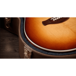 TAYLOR GOLD LABEL 512E SPECIAL EDITION BEN HARPER