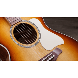 TAYLOR GOLD LABEL 512E SPECIAL EDITION BEN HARPER