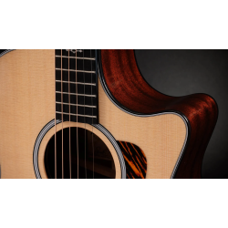 TAYLOR 314CE NEXT GENERATION SAPELE SITKA