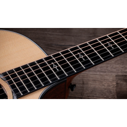 TAYLOR 314CE NEXT GENERATION SAPELE SITKA