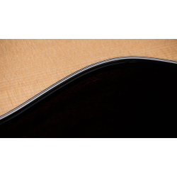 TAYLOR 314CE NEXT GENERATION SAPELE SITKA