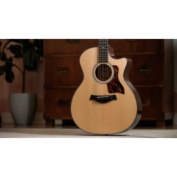 TAYLOR 314CE NEXT GENERATION SAPELE SITKA