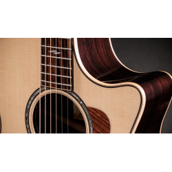 TAYLOR 814CE NEXT GENERATION