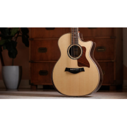 TAYLOR 814CE NEXT GENERATION