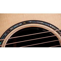 TAYLOR 814CE NEXT GENERATION
