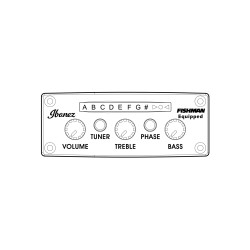 IBANEZ SIGNATURE TIM HENSON TOD10NTKF