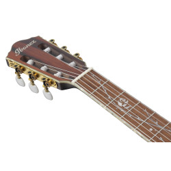 IBANEZ SIGNATURE TIM HENSON TOD10NTKF