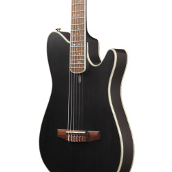 IBANEZ SIGNATURE TIM HENSON TOD10NTKF