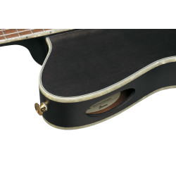 IBANEZ SIGNATURE TIM HENSON TOD10NTKF