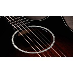 TAYLOR 324CE BUILDER S EDITION
