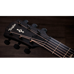 TAYLOR 324CE BUILDER S EDITION