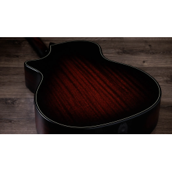 TAYLOR 324CE BUILDER S EDITION
