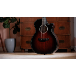 TAYLOR 324CE BUILDER S EDITION