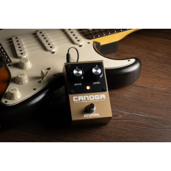 STRYMON CANOGA VINTAGE SILICON FUZZ