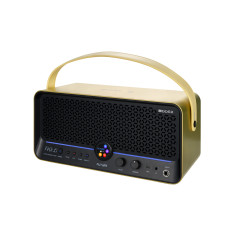 MOOER AMPLI F40I LI 40W DORE