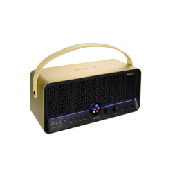 MOOER AMPLI F40I LI 40W DORE