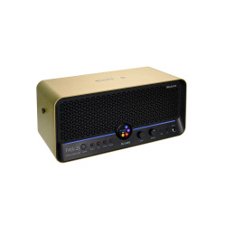 MOOER AMPLI F40I LI 40W DORE