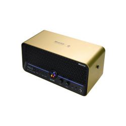 MOOER AMPLI F40I LI 40W DORE