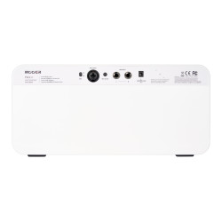 MOOER AMPLI F40I LI 40W SNOWFALL WHITE