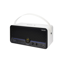 MOOER AMPLI F40I LI 40W SNOWFALL WHITE