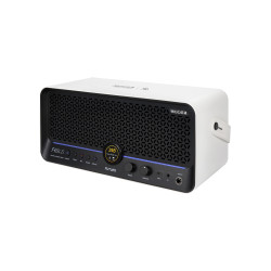 MOOER AMPLI F40I LI 40W SNOWFALL WHITE