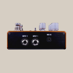 SOURCE AUDIO PATHWAYS - PEDALE REVERB + TREMOLO