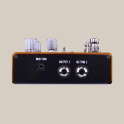 SOURCE AUDIO PATHWAYS - PEDALE REVERB + TREMOLO
