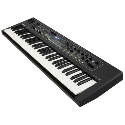 YAMAHA CK-61