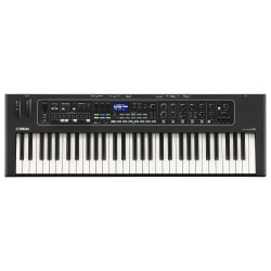 YAMAHA CK-61