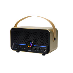 MOOER AMPLI F15I LI 15W DORE