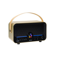 MOOER AMPLI F15I LI 15W DORE