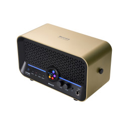 MOOER AMPLI F15I LI 15W DORE