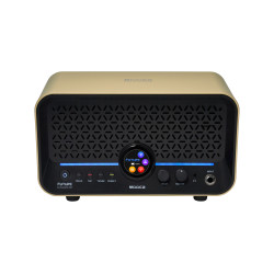 MOOER AMPLI F15I LI 15W DORE