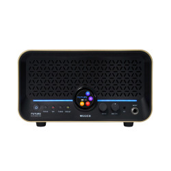 MOOER AMPLI F15I LI 15W DORE